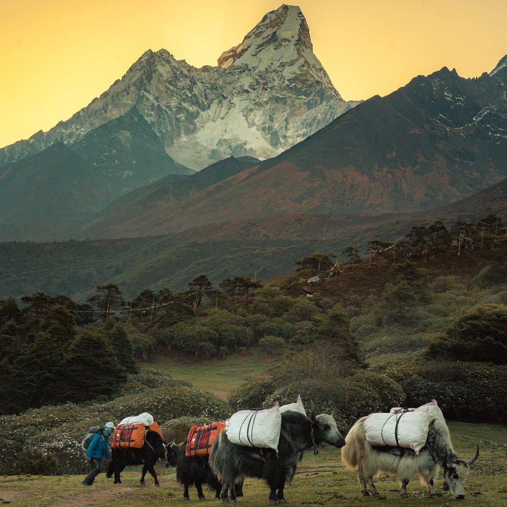Best-short-trek-in-nepal-2025